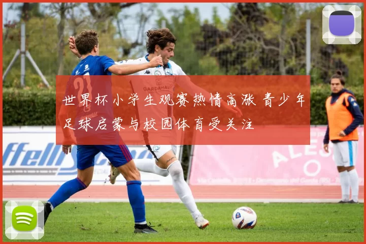 世界杯小学生观赛热情高涨 青少年足球启蒙与校园体育受关注