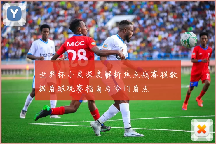 世界杯小度深度解析焦点战赛程数据看球观赛指南与冷门看点